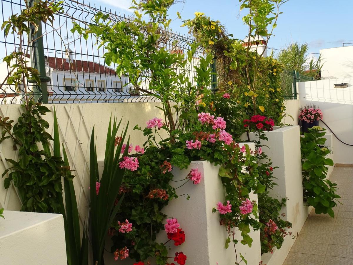 Apartamento Ana&Zé Vila Nova de Milfontes Exterior foto
